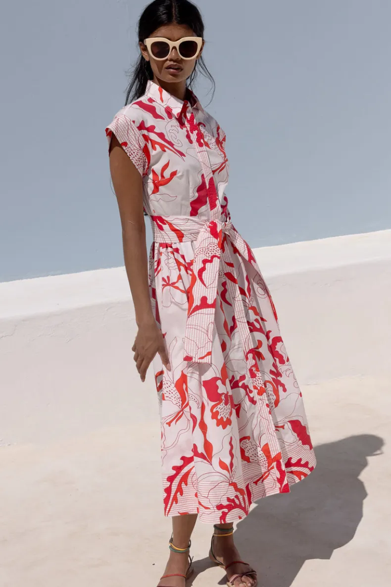 Belted Shirt Dress- Orchid Red